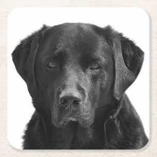 Zwarte Labradors retriever puppy hond Kartonnen Onderzetters