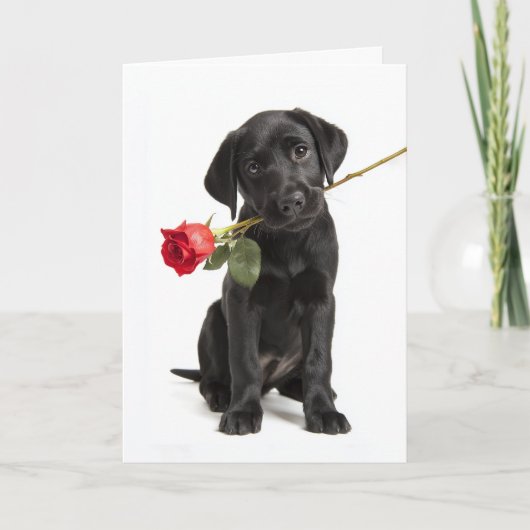 Zwarte Labradors Valentijn Kaart (Voorkant)