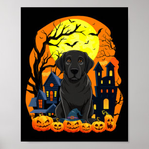 Zwarte Labradorshond met pompoenen Grappig eng Poster
