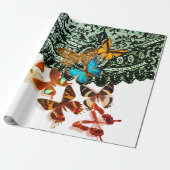ZWARTE LACE PATROON MET BUTTERFLIES die papier ver (Uitgerold)