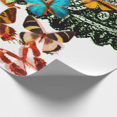 ZWARTE LACE PATROON MET BUTTERFLIES die papier ver (Hoek)