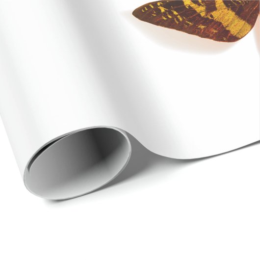 ZWARTE LACE PATROON MET BUTTERFLIES die papier ver (Rol Hoek)