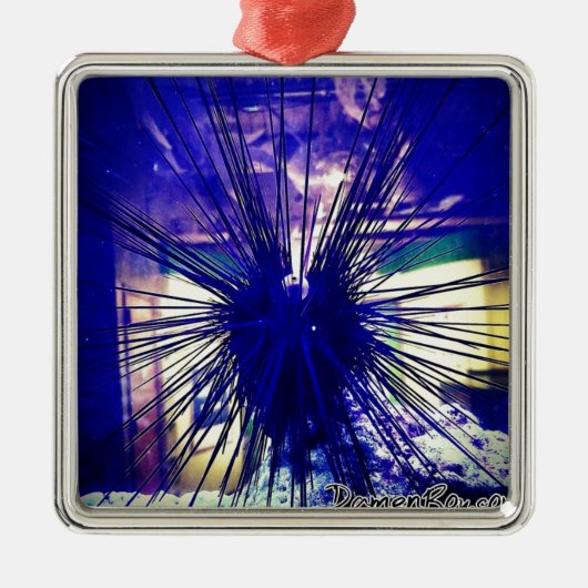 zwarte langoest metalen ornament (Voorkant)