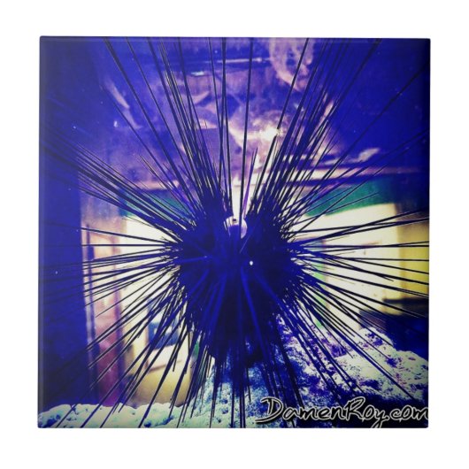 zwarte langoest tegeltje (Voorkant)