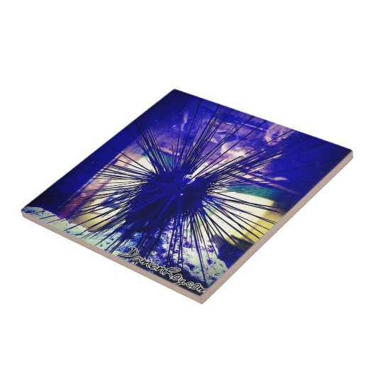 zwarte langoest tegeltje (Zijkant)