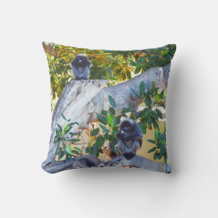 Zwarte Langur-apen eten, kussen