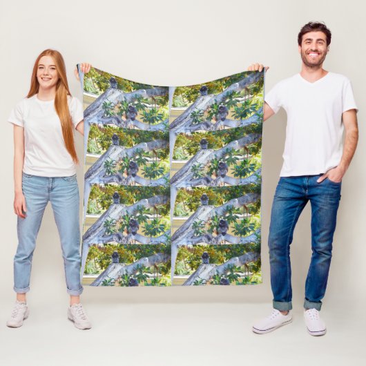 Zwarte Langur-apen, Eten, Med Fleece Blanket (In situ)