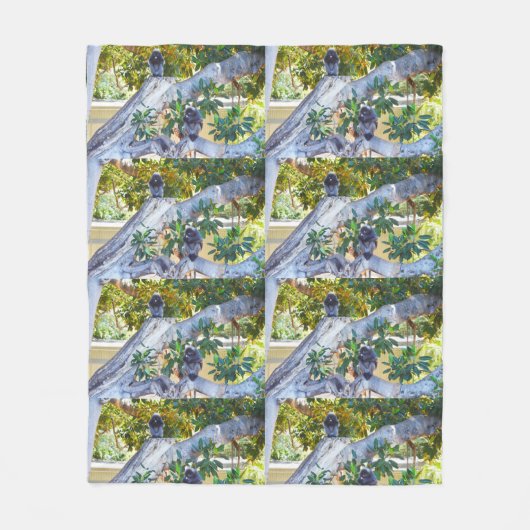 Zwarte Langur-apen, Eten, Med Fleece Blanket (Voorkant)