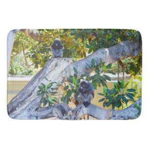 Zwarte Langur-apen eten, Memory Foam Bathmat Badmat