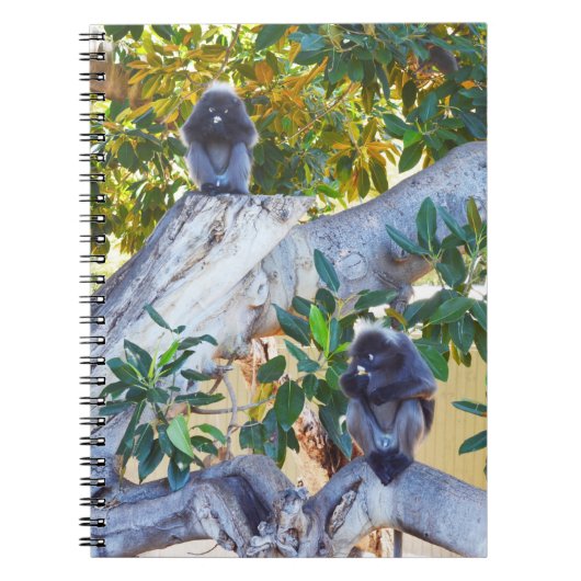 Zwarte Langur-apen Eten, Notitieboek (Voorkant)