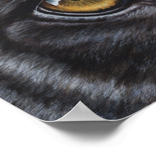 Zwarte lendeogen poster (Hoek)