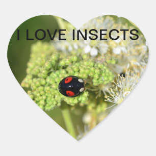 Zwarte  lieveheersbeestje hart sticker