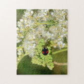 Zwarte lieveheersbeestje legpuzzel (Verticaal)