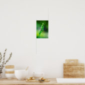 Zwarte lieveheersbeestje poster (Keuken)