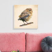 Zwarte Lijster Jong Canvas Afdruk (Insitu (Woonkamer))