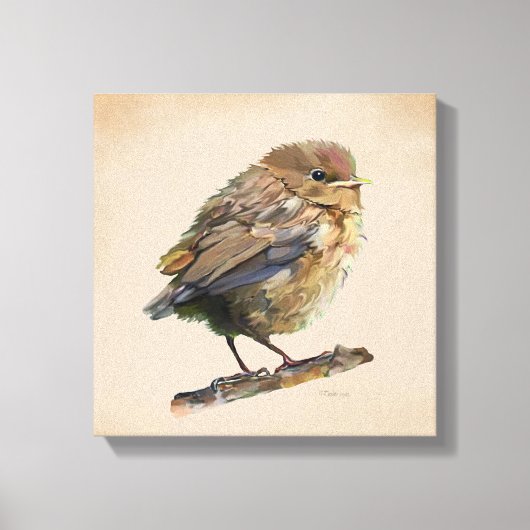 Zwarte Lijster Jong Canvas Afdruk (Voorkant)