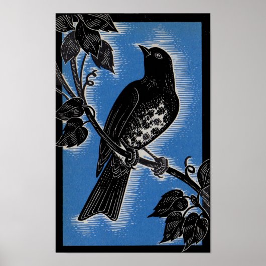 Zwarte lijster met blauw poster (Voorkant)