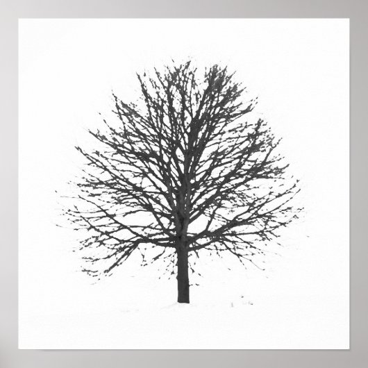 Zwarte Lone Leafless Tree op Winter Poster (Voorkant)