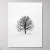 Zwarte Lone Leafless Tree op Winter Poster (Voorkant)