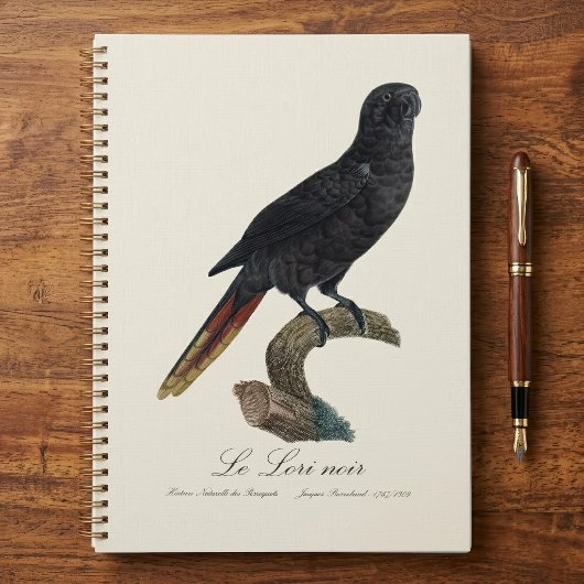 Zwarte Lori of Zwarte Lory, Chalcopsitta atra Planner