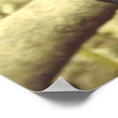 Zwarte luipaard in het wild poster (Hoek)