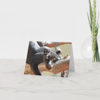 Zwarte Luipaard Kaart