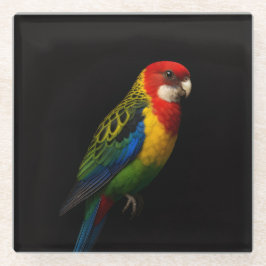 Zwarte Luxe Glas onderzetter, Eastern Rosella Glazen Onderzetter