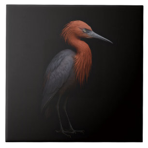 Zwarte Luxe-tegel 4 met Roodachtige Reiger Tegeltje