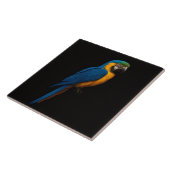 Zwarte Luxe-tegel met blauwe-gele Ara Tegeltje (Zijkant)