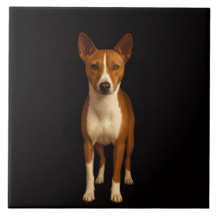 Zwarte Luxe tegel met Klasse Basenji hond Tegeltje