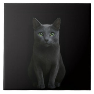 Zwarte Luxe-tegel met Russische Blauwe Kat Tegeltje