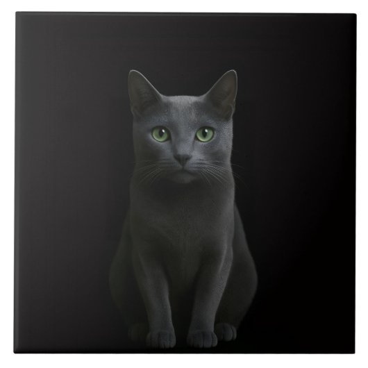 Zwarte Luxe-tegel met Russische Blauwe Kat Tegeltje (Voorkant)