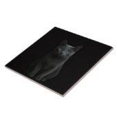 Zwarte Luxe-tegel met Russische Blauwe Kat Tegeltje (Zijkant)