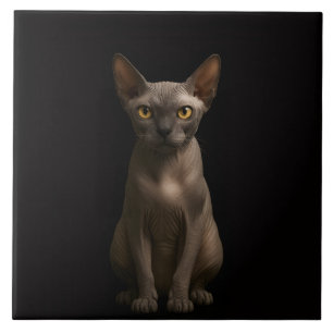 Zwarte Luxe Tegel met Sphynx Kat Tegeltje