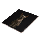Zwarte Luxe Tegel met Sphynx Kat Tegeltje (Zijkant)