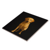 Zwarte Luxe tegel met zachte labrador Tegeltje (Zijkant)