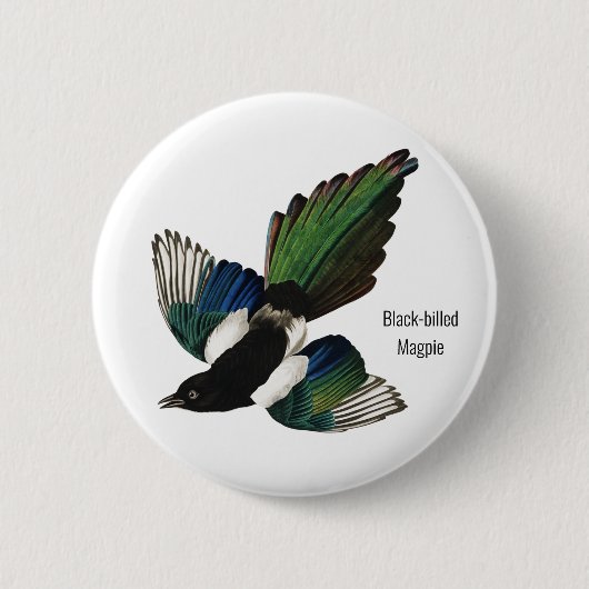 Zwarte Maart, Audubon, Amerikaanse Birder, Ronde Button 5,7 Cm (Voorkant)