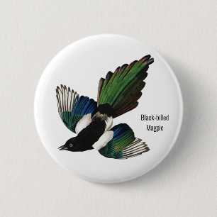 Zwarte Maart, Audubon, Amerikaanse Birder, Ronde Button 5,7 Cm