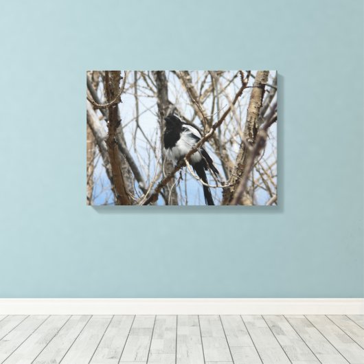 Zwarte Maart, Colorado Canvas Afdruk (Insitu (Houten vloer))