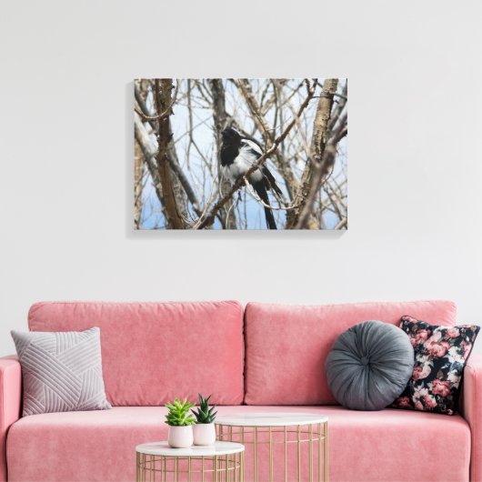 Zwarte Maart, Colorado Canvas Afdruk (Insitu (Woonkamer))