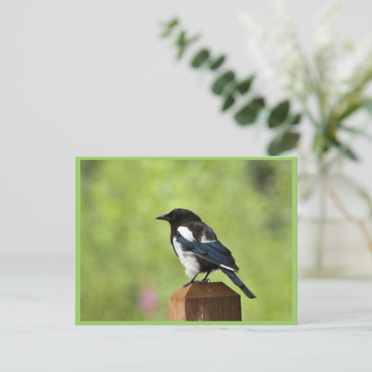 Zwarte magaart briefkaart (Staand voorkant)