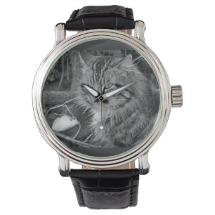Zwarte Maine Coon Kat Horloge Band