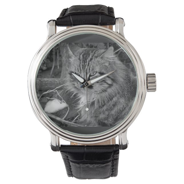 Zwarte Maine Coon Kat Horloge Band (Voorkant)
