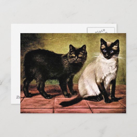 Zwarte Mank en Royal Siamese Cat Briefkaart (Voorkant / Achterkant)