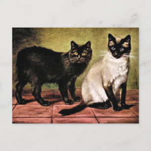 Zwarte Mank en Royal Siamese Cat Briefkaart