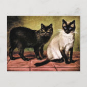 Zwarte Mank en Royal Siamese Cat Briefkaart (Voorkant)