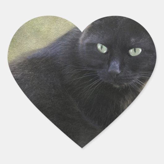 Zwarte mannelijke kat met groene ogen hart sticker (Voorkant)