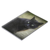 Zwarte mannelijke kat met groene ogen notitieboek (Linkerzijde)