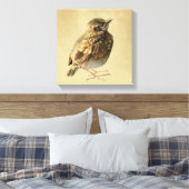 Zwarte Mereljong in de Zon Canvas Afdruk (Insitu (Slaapkamer))