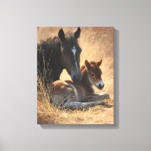 Zwarte Merrie met Veulen Rustieke Schildering Canvas Afdruk